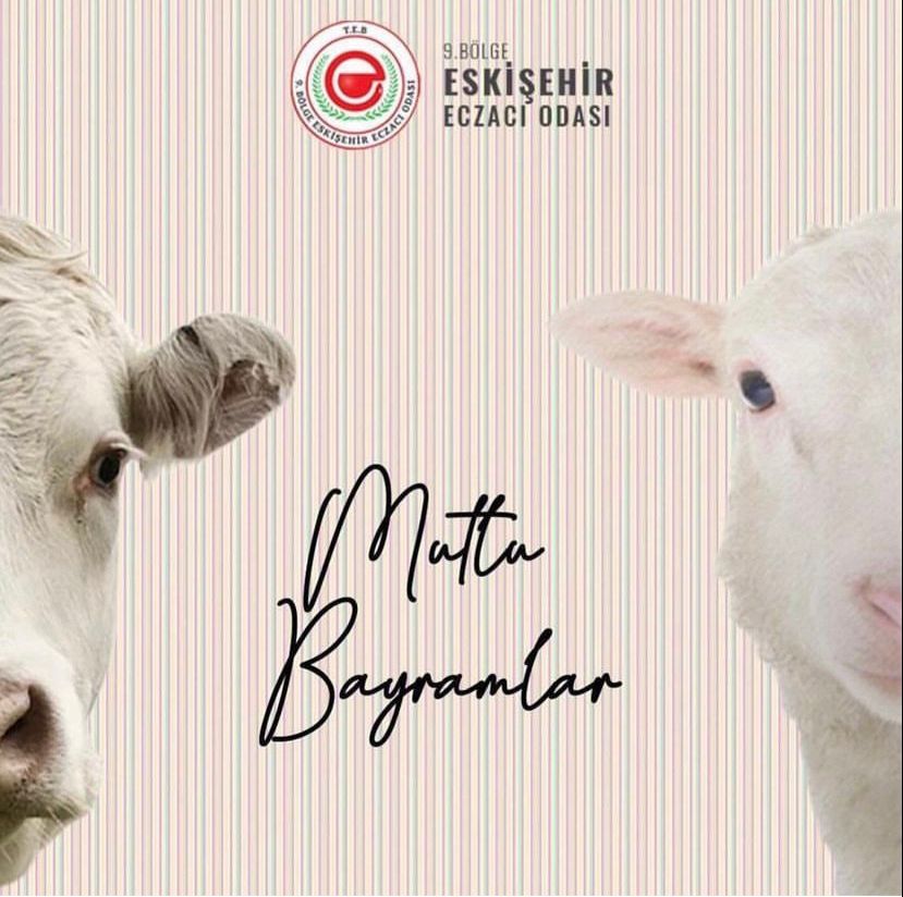 KURBAN BAYRAMINIZ KUTLU OLSUN