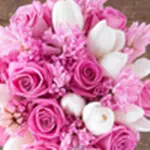 8 Mart Dünya Kadınlar Gününüz Kutlu Olsun 